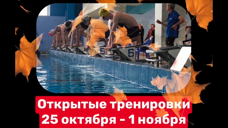 Открытые тренировки в большом бассейне!